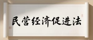 民营经济促进法